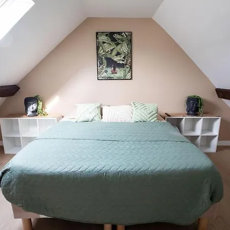 Duplex 3 Chambres, Aeroport Paris Cdg, Parc Des Expositions, Parc Asterix, Mitry-Mory